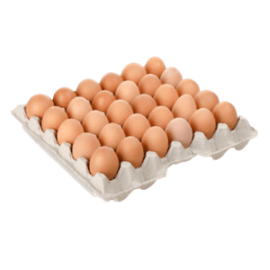 Poultry Egg