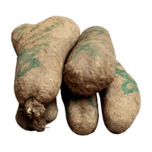 Yam tuber